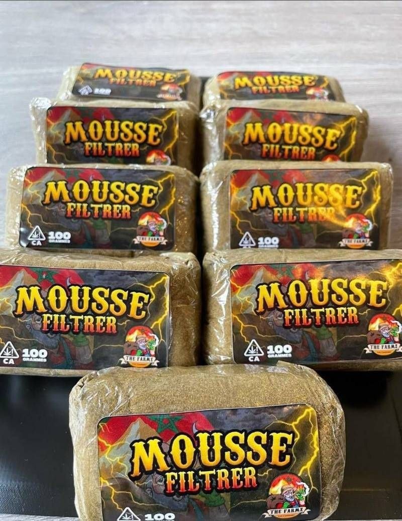 filter mousse